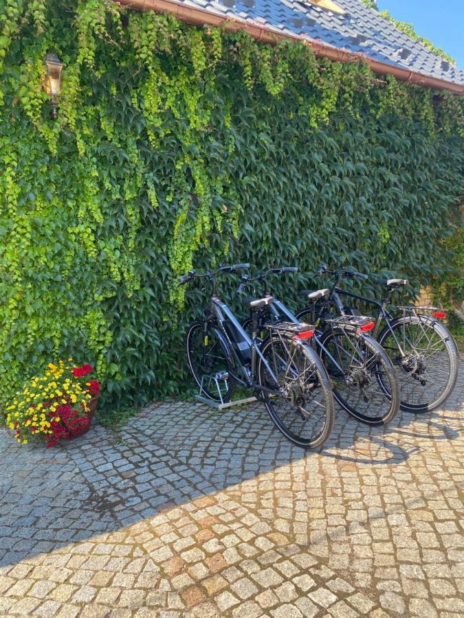 Kamien I Sowa Aparthotel Lipinki Łużyckie Buitenkant foto